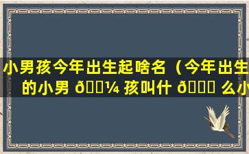 小男孩今年出生起啥名（今年出生的小男 🐼 孩叫什 🐝 么小名好）